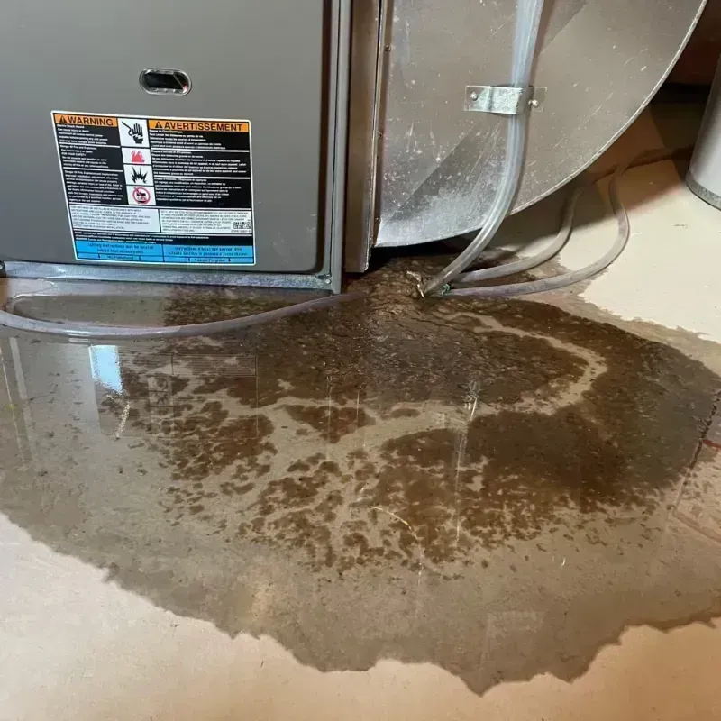 Appliance Leak Cleanup in Fraser, CO